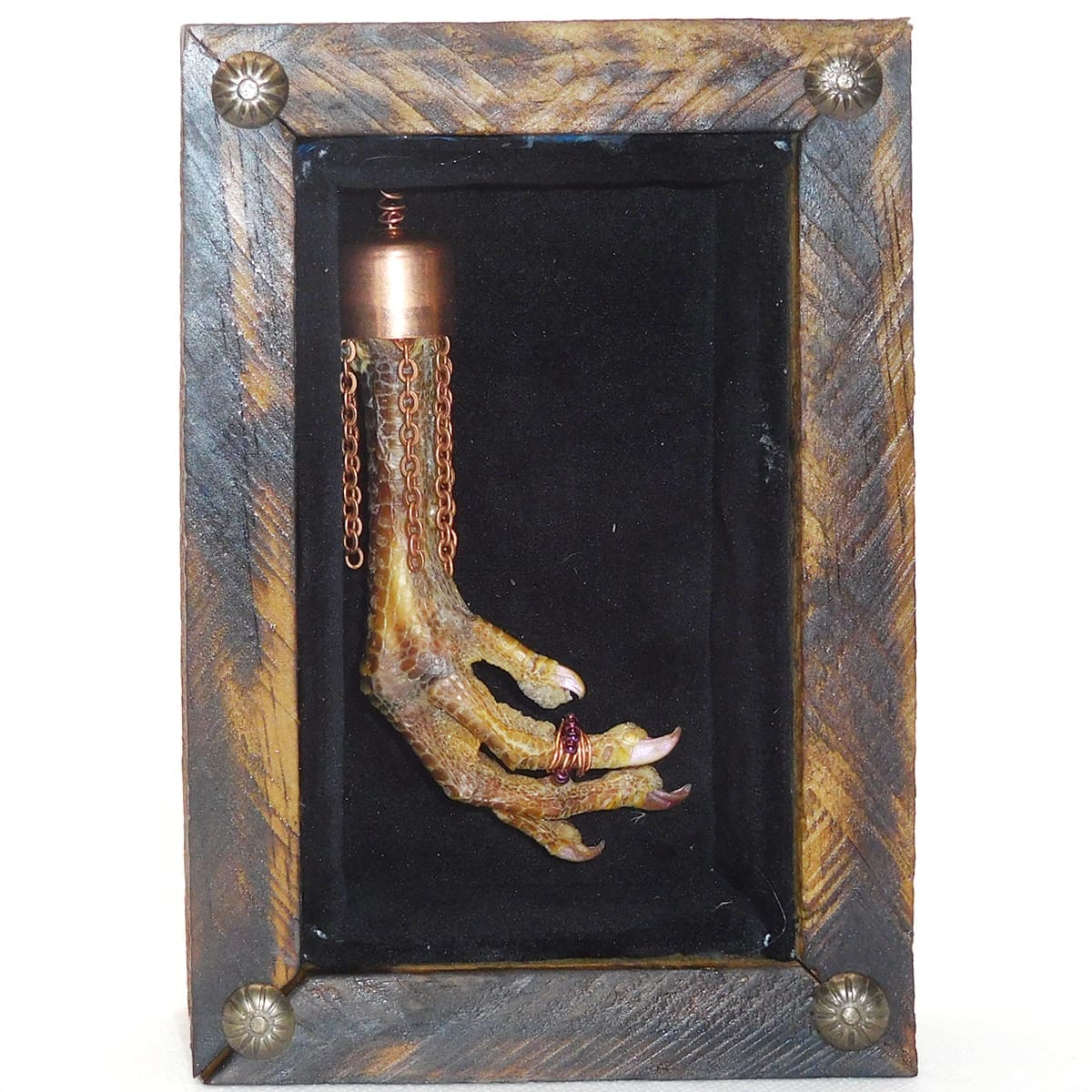 Chicken Foot Wunderkammer