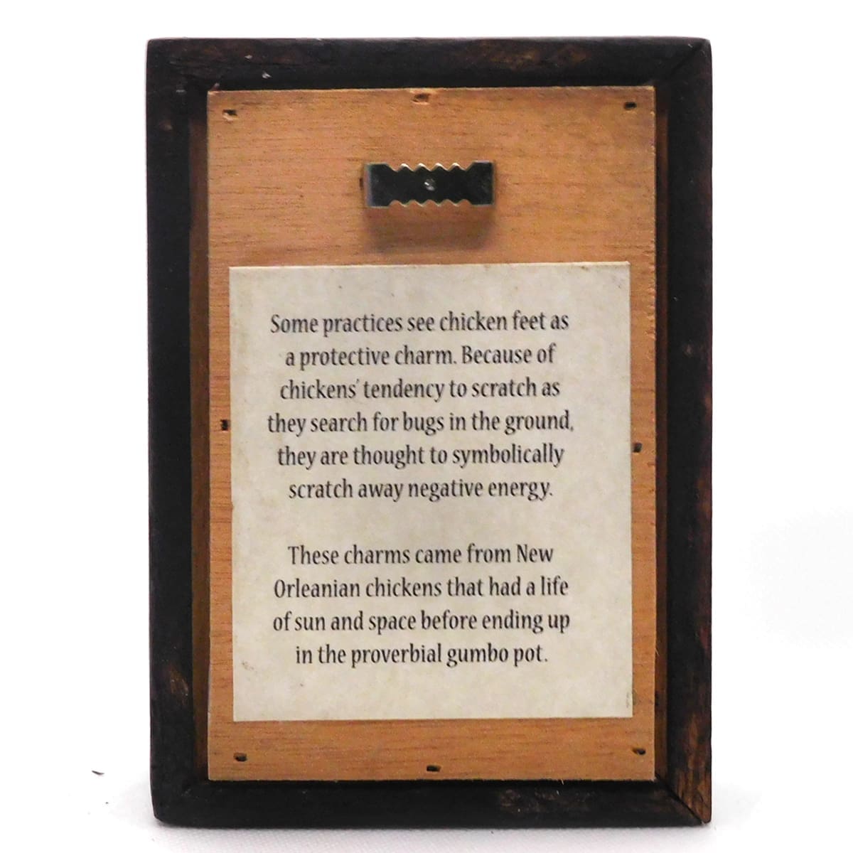 Chicken Foot Wunderkammer - Image 5